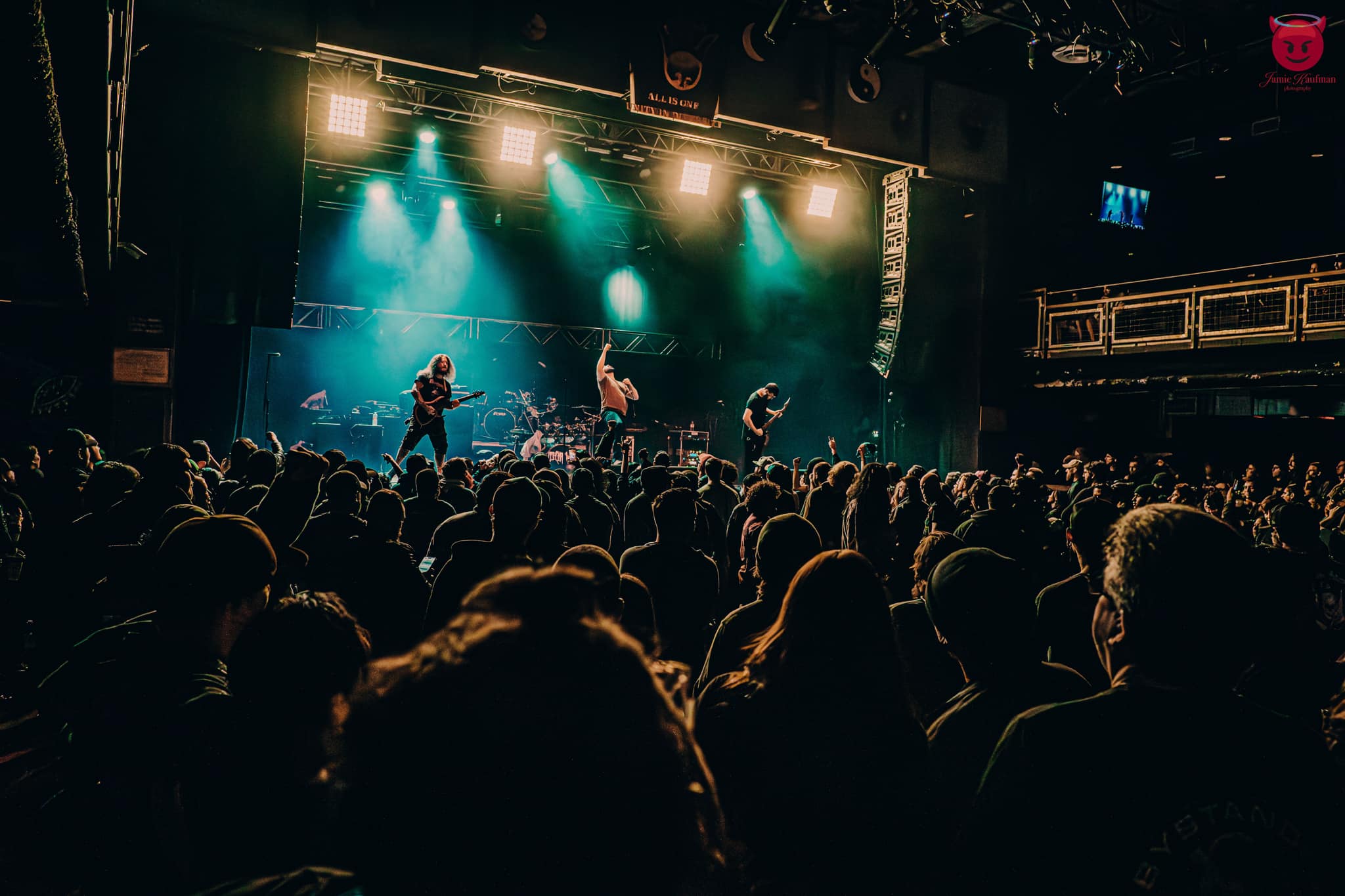 Image of I Declare War