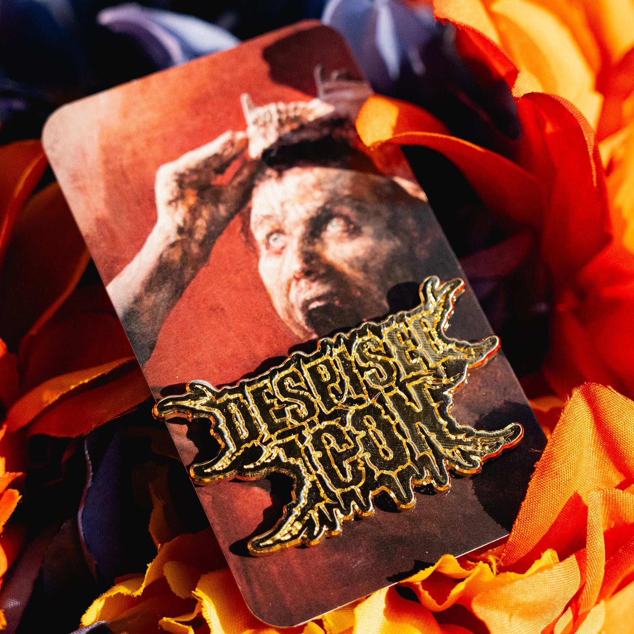 Image of Despised Icon - 