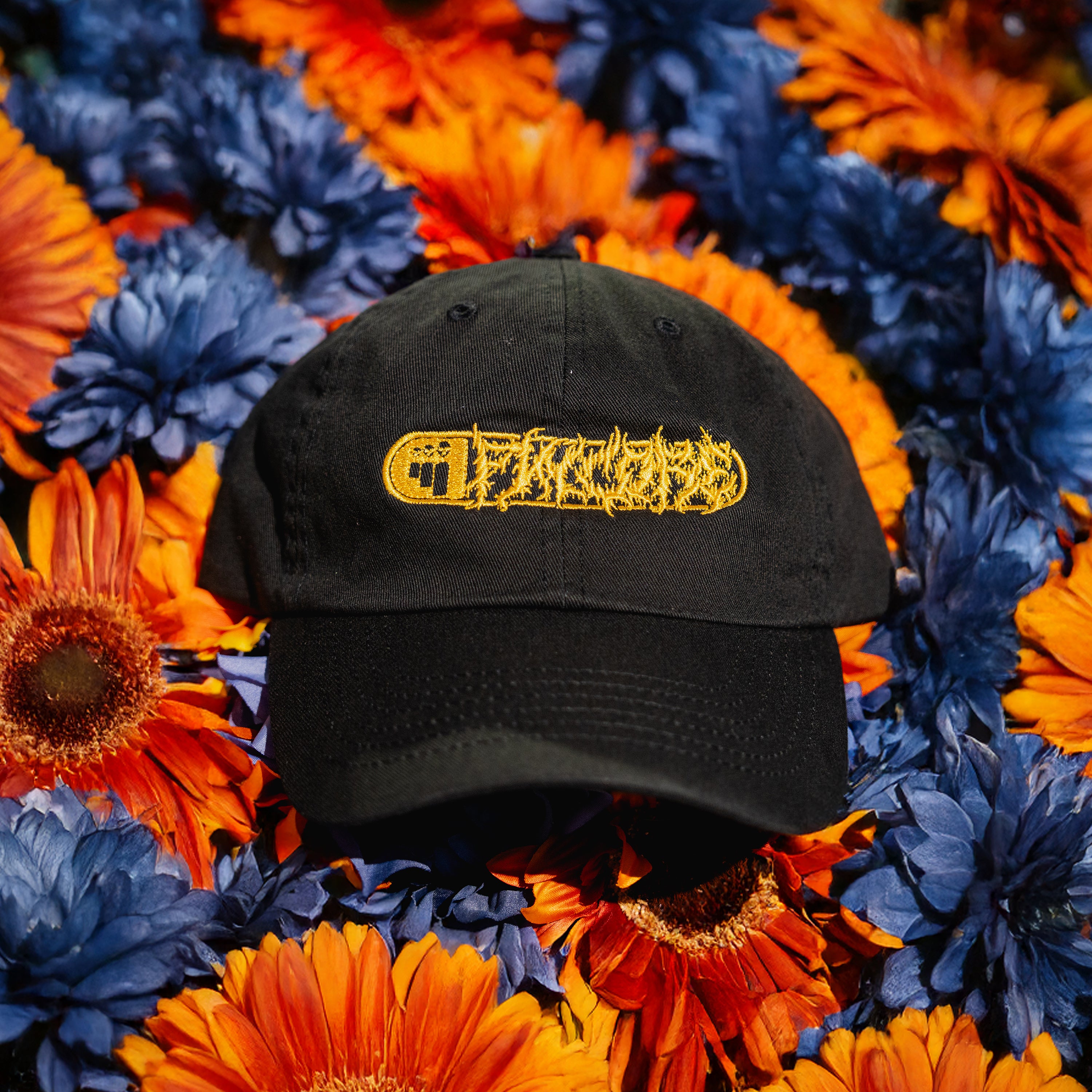 Image of Pincore Mysp@c3 Embroidered Dad Hat