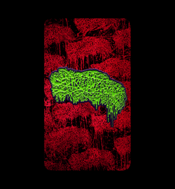 Pincore Merchandise