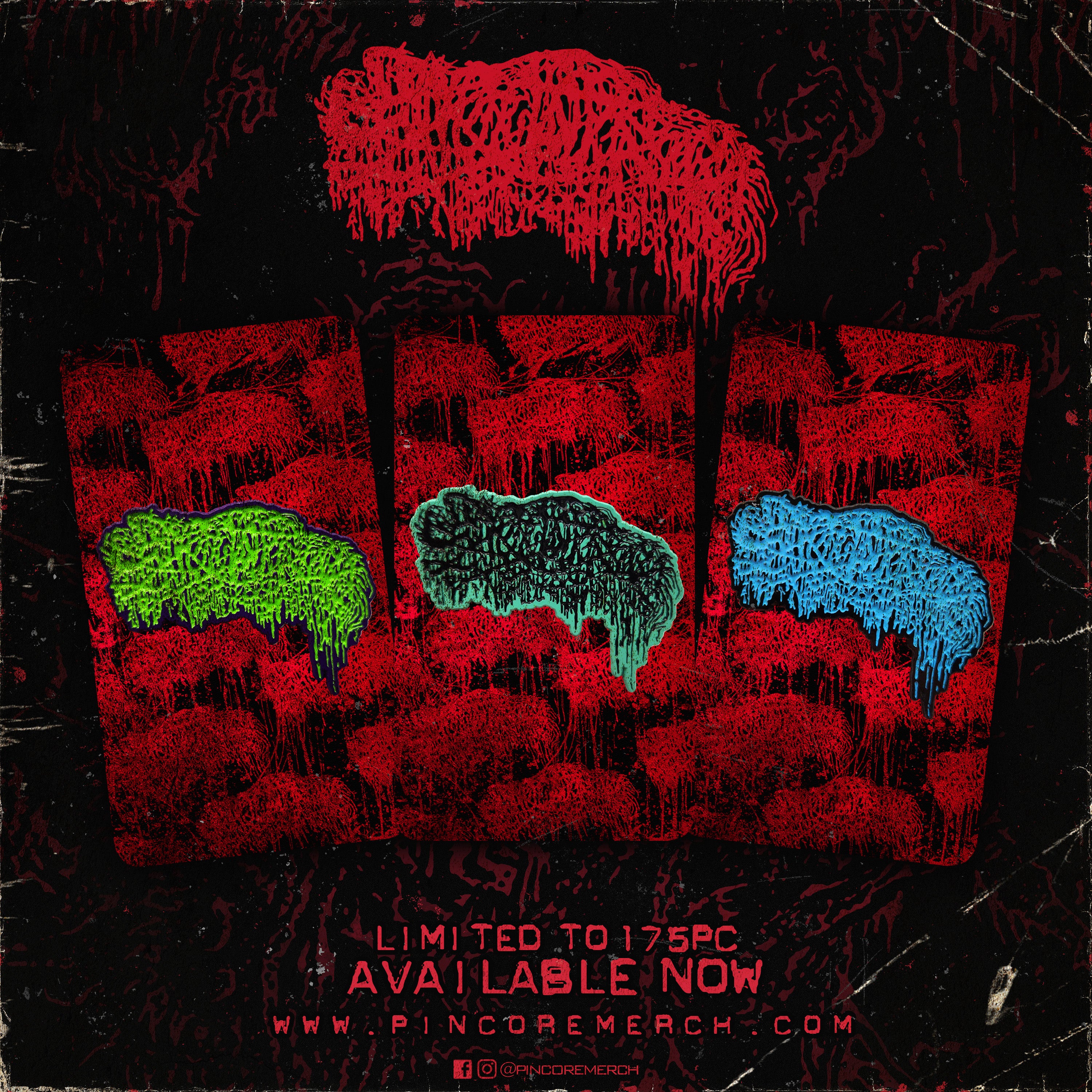 Pincore Merchandise