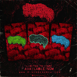 Pincore Merchandise
