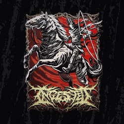 Pincore Merchandise